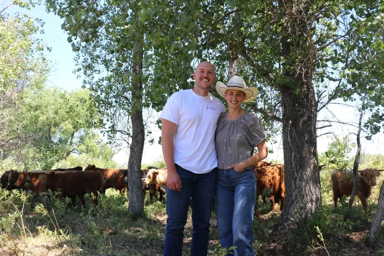 Walcott's Nohava Ranch supplies beef directly to Fargo restaurant Spaghetti Western