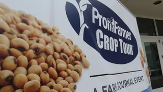 Pro Farmer Crop Tour: Minnesota corn yield 8.7% above three-year average, soybean pod count leads tour