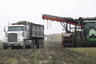 American Crystal Sugar wraps up 2026 harvest at 27.3 tons per acre, 10.8 million tons total
