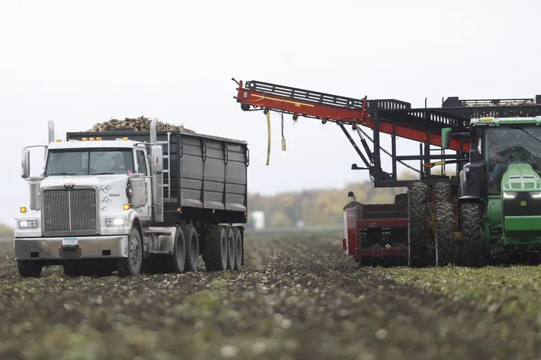 American Crystal Sugar wraps up 2026 harvest at 27.3 tons per acre, 10.8 million tons total