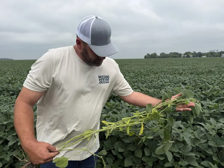 SB&B Foods in Casselton contracts non-GMO soybeans across upper Midwest, citing niche market growth