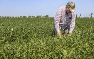 SBA offering low-interest federal disaster loans to N.D. businesses and nonprofits due to drought