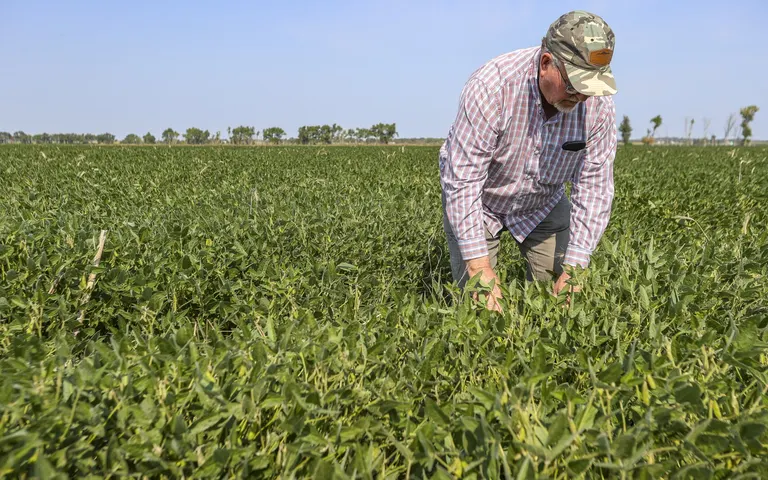 SBA offering low-interest federal disaster loans to N.D. businesses and nonprofits due to drought