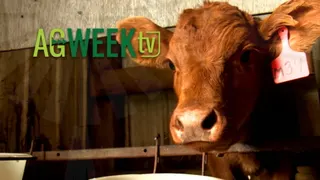 AgweekTV covers drones, alpacas, avian vaccine, drought, and North Dakota flower business