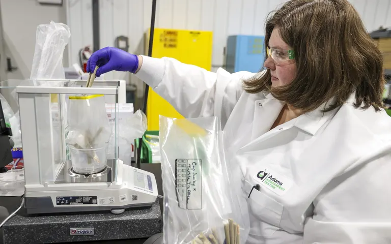 Moorhead's Adams Independent Testing is one of just five Minnesota-licensed cannabis testing labs