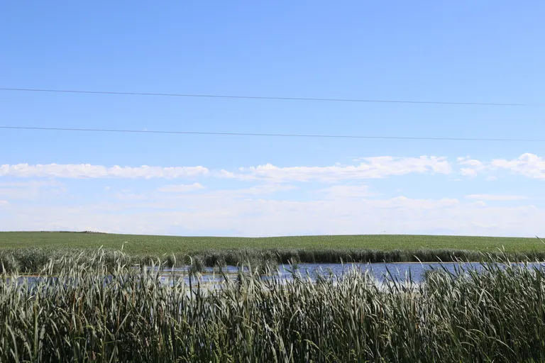 EPA, Army seek public input on revised WOTUS definitions of 'relatively permanent' and 'perennial'