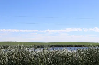EPA, Army seek public input on revised WOTUS definitions of 'relatively permanent' and 'perennial'