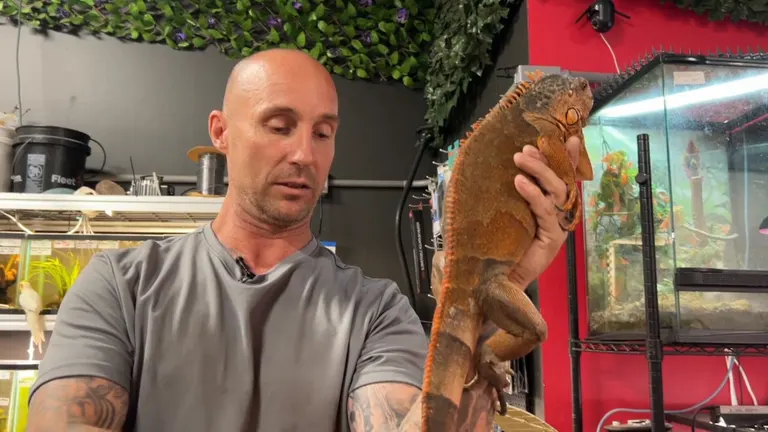 Fargo exotic pet store Red River Exotics and Aquatics faces possible closure due to declining traffic and sales