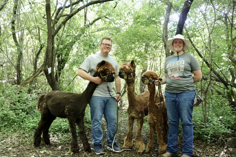 Ten Seven Acres in Galchutt, N.D. opens farm to public for alpaca nature walks, on-farm store