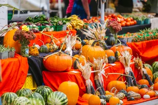 Red River Market closes 12th season Oct. 31 with Halloween event, 60+ vendors at Broadway Square