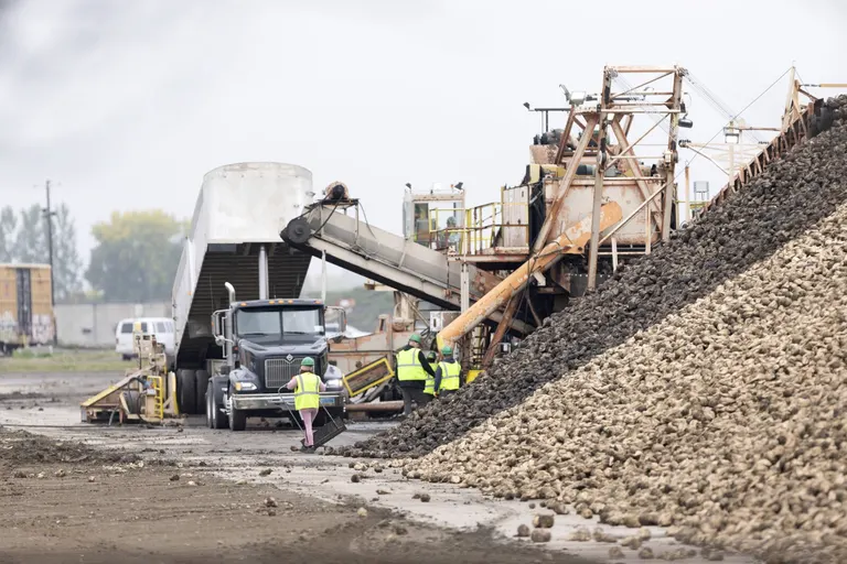 American Crystal Sugar's East Grand Forks factory marks 100 harvests since 1926 opening