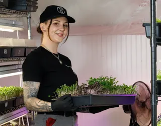 Fargo urban farmer Morgan Christl grows 12 microgreen varieties in basement space, sells to dozen area restaurants