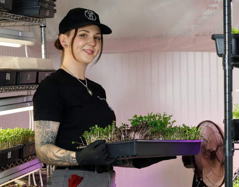 Fargo urban farmer Morgan Christl grows 12 microgreen varieties in basement space, sells to dozen area restaurants