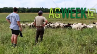 AgweekTV covers Big Iron show: ag labor shortage, cattle health, and farmer mentorship