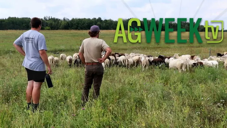 AgweekTV covers Big Iron show: ag labor shortage, cattle health, and farmer mentorship