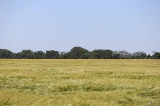 Weather, war and wheat drive double-digit gains across grain markets, says Allison Thompson of The Money Farm