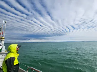 Moorhead man makes annual Alaskan trek to work on salmon boat, sells catch locally under Wenner's Sockeye Express label