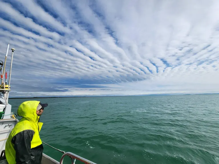 Moorhead man makes annual Alaskan trek to work on salmon boat, sells catch locally under Wenner's Sockeye Express label