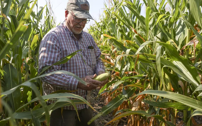 Red River Valley farmers face below-average yields as drought hits growing season