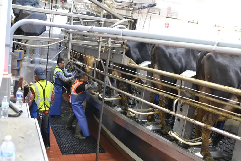 Opponents argue North Dakota's Herberg Dairy permit should be reversed; judge hears case in Hillsboro