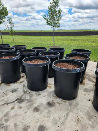 Grand Farm plants first sugar beets for BenchBot agricultural AI imaging platform