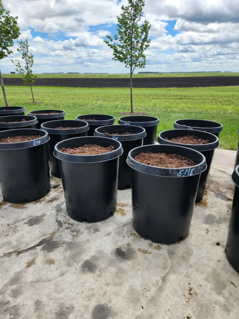 Grand Farm plants first sugar beets for BenchBot agricultural AI imaging platform