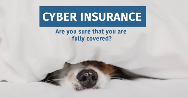 Cyber Insurance: A Safety Net, Not a Substitute for Security