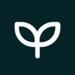 Exploring AI with Chipp.AI