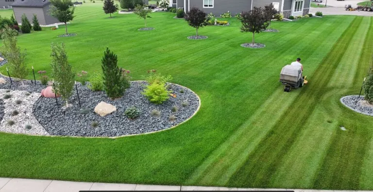 Precision Lawn & Landscape Does All That!? And Free Lawn Assessments!